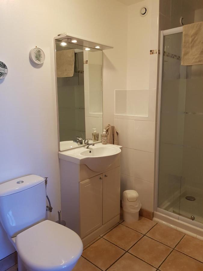 Les Trois Lions Apartment Foix Exterior foto
