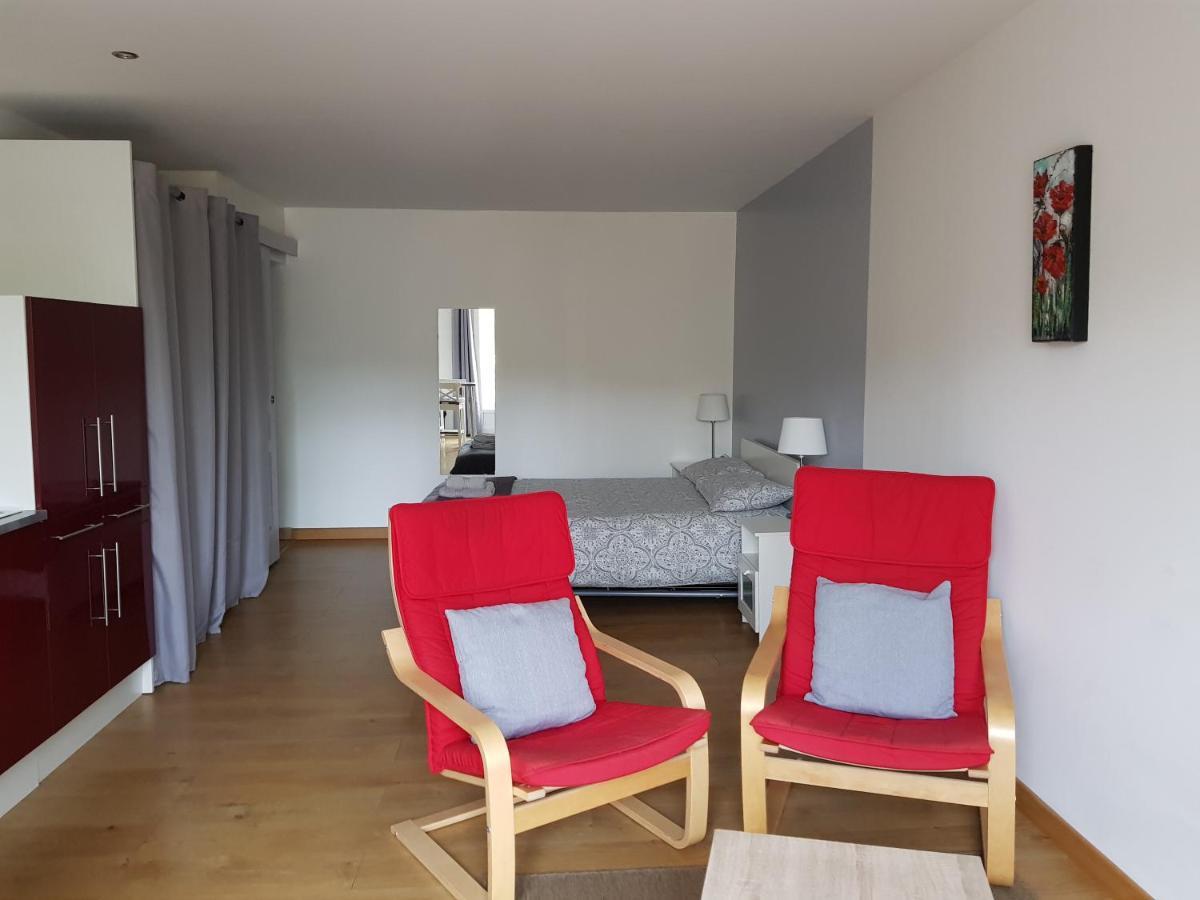 Les Trois Lions Apartment Foix Exterior foto